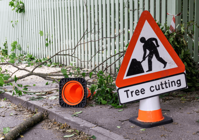 Tree cutting service