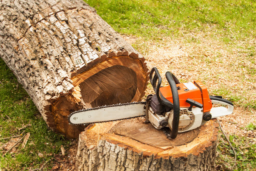 Tree Pruning Pickering