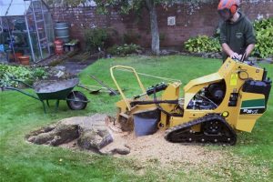 stump grinding services
