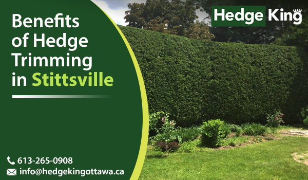 Benefits of Hedge Trimming in Stittsville