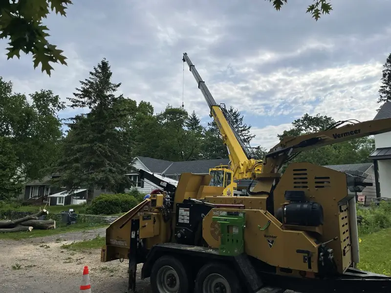 Tree King Ottawa Ottawa Tree Removal jpeg