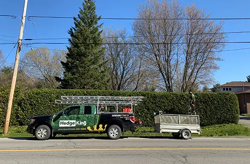 Hedge King truck beside a trimmed Ottawa hedge