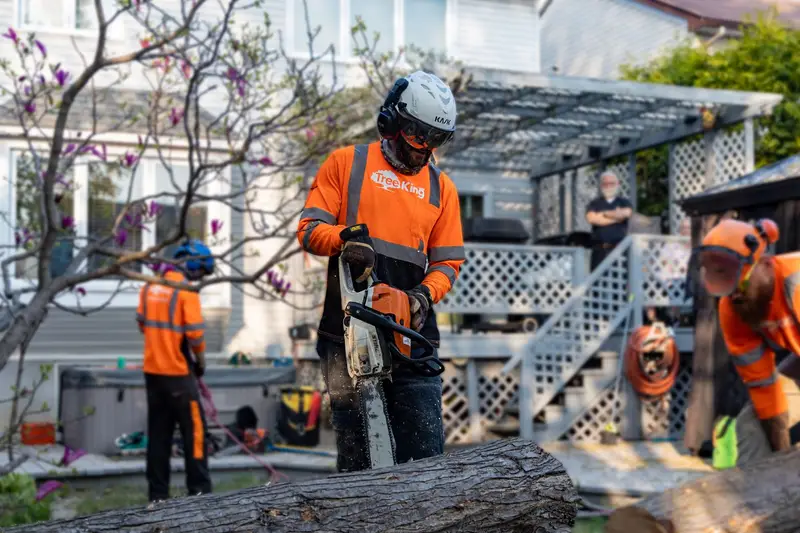 tree service & maintenance in Ottawa